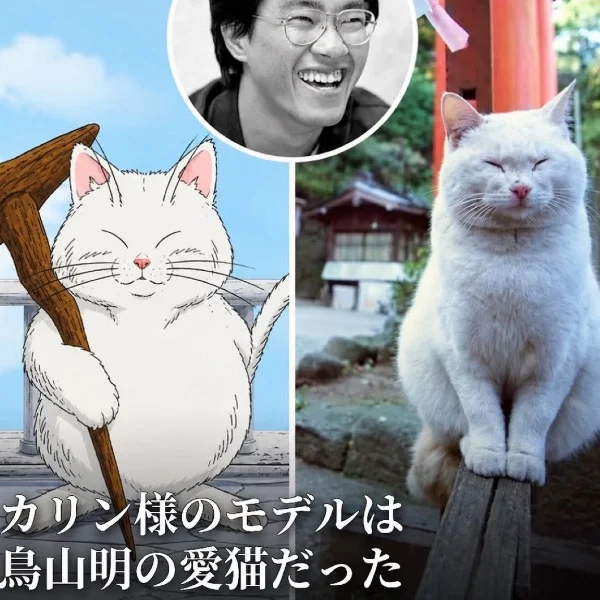 水木お礼まとめ♡