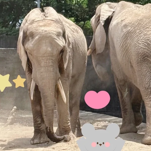 本日14時〜出勤✨