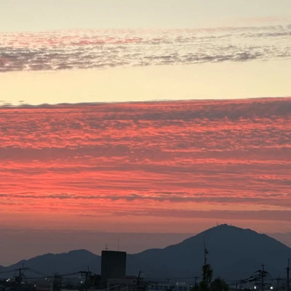 皆様、大丈夫でしょうか、、、