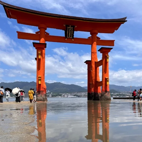 夏ですね〜🌞🌴🌺✨