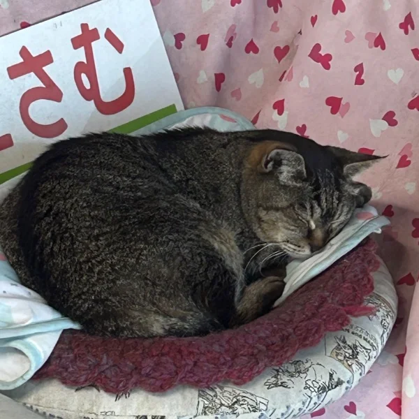 那珂湊いきました🐚🌊