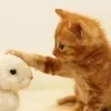 綺麗なroomで快適です！清掃は徹底的に行ってます(^^♪のサムネイル