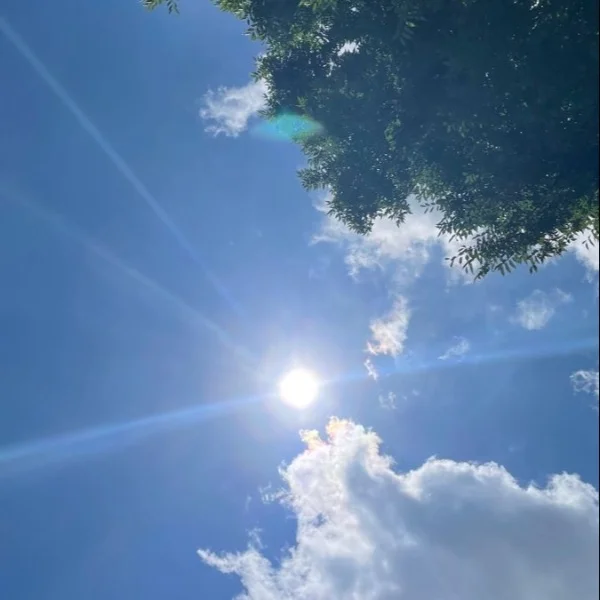 今日、
