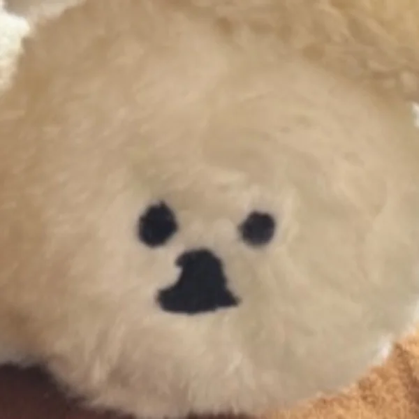 今日も
