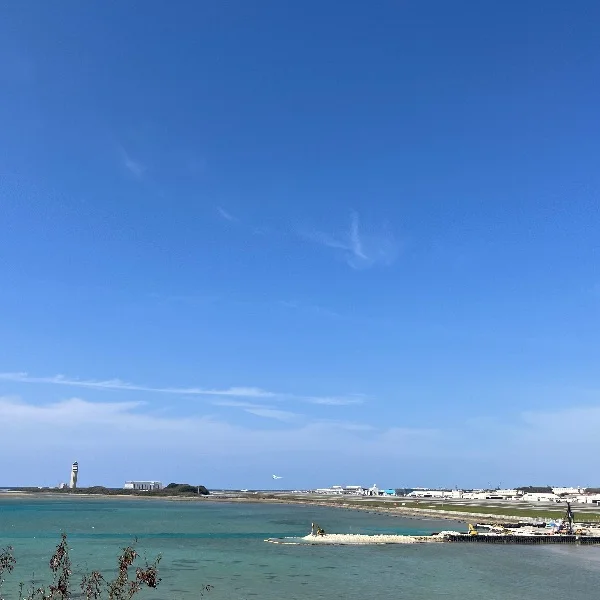 今日は遅い時間に出勤が出来るかも？