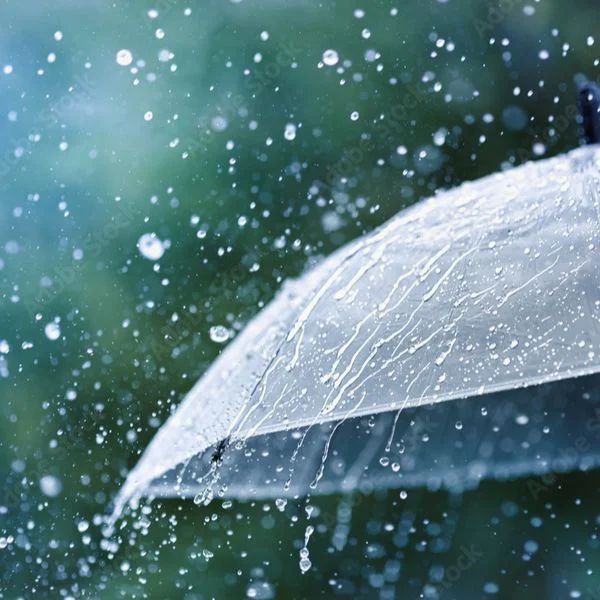 台風6号すごかったですね💦