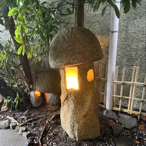 ただいまぁ( * ॑꒳ ॑*)⸝⋆｡✧♡