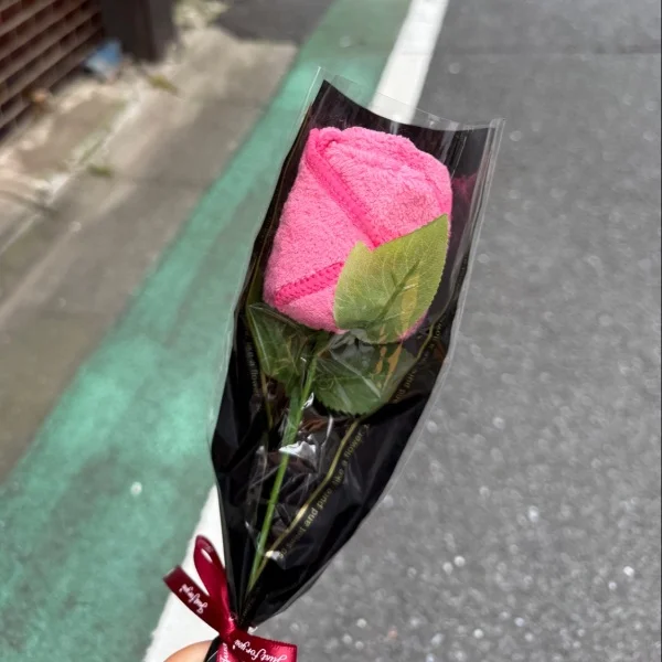 きらりんっ(⌯︎¤̴̶̷̀ᴗ¤̴̶̷́⌯︎)✧