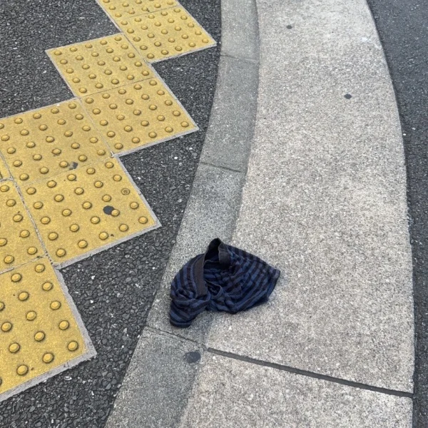 落とし物(˙˙*)?