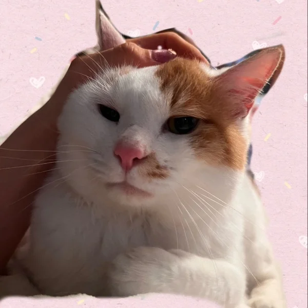 ♡