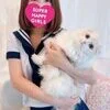 森山さな