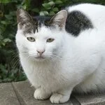 採用担当の採用担当者さん