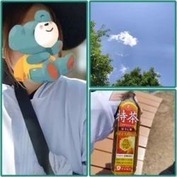 ももさんより【新人】：こんにちは(｡･...