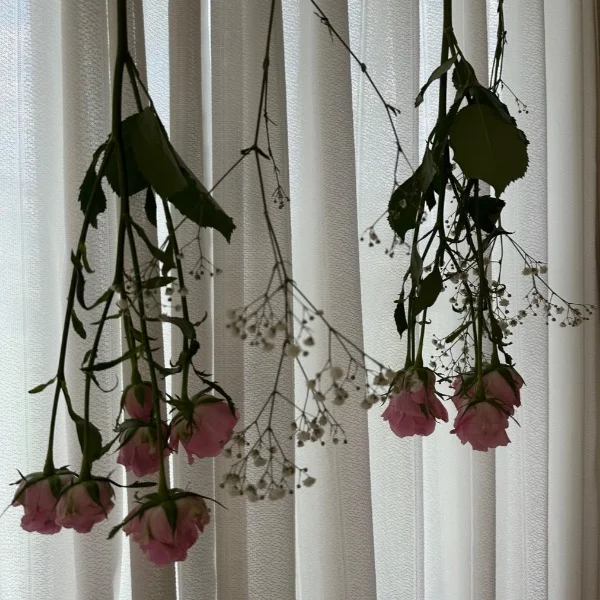 昨日もらったお花！