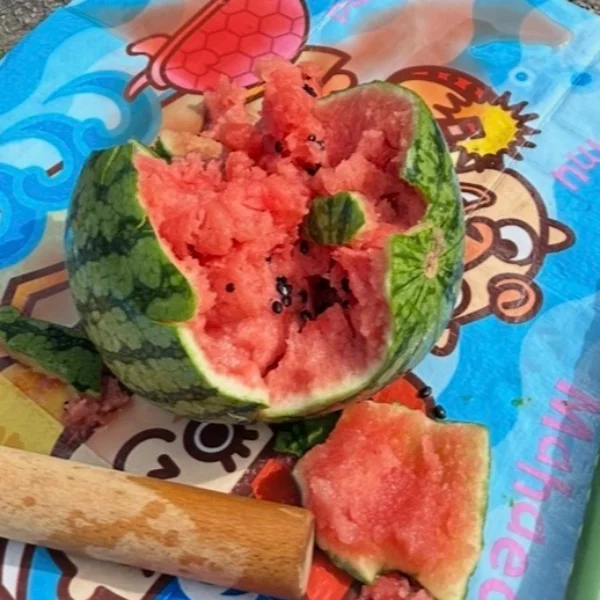 🍉🍉🍉🍉