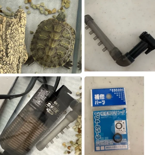 カメの濾過装置