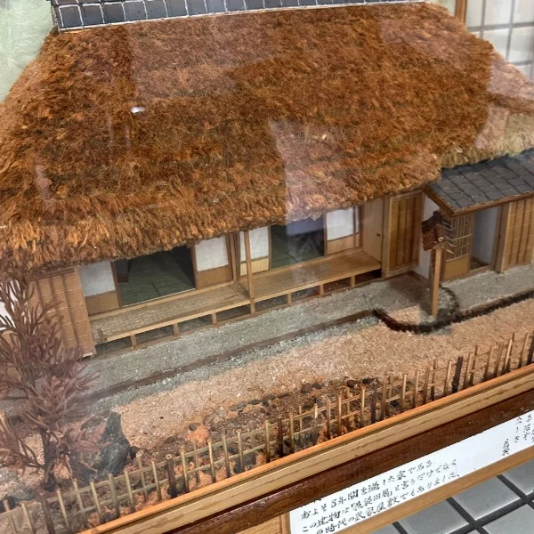 小雨ですなぁ