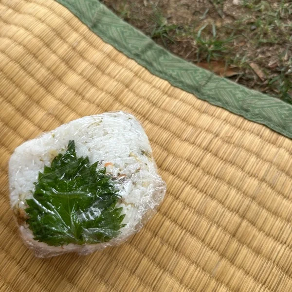 歯医者終わりました🦷