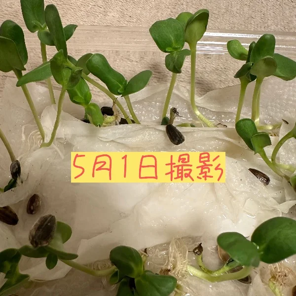 おはようございます☀️｡°