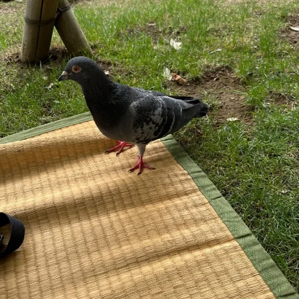 痛かったぁ