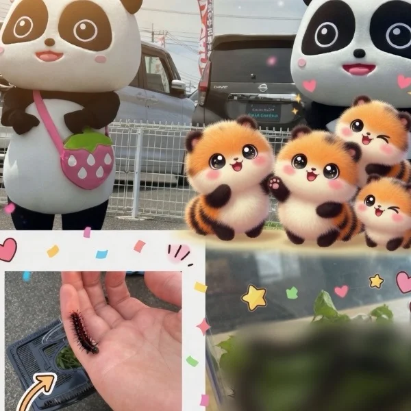 今日1日の出来事