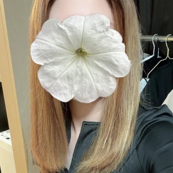 本日11時〜15時半