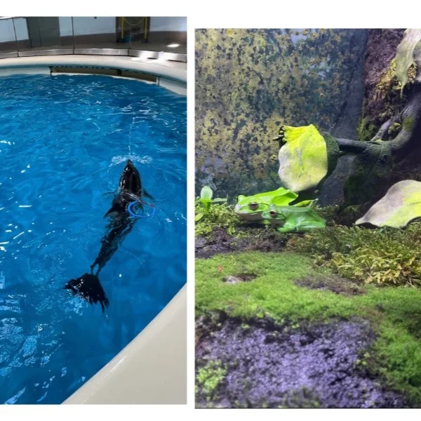 水族館