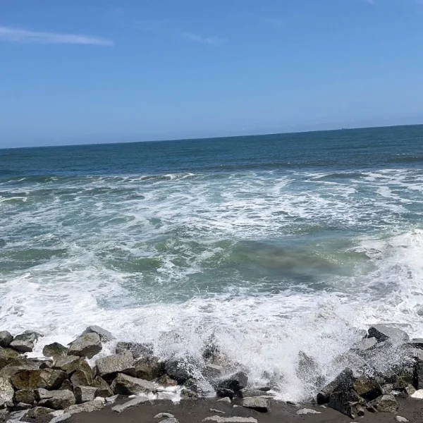 マリン🌊