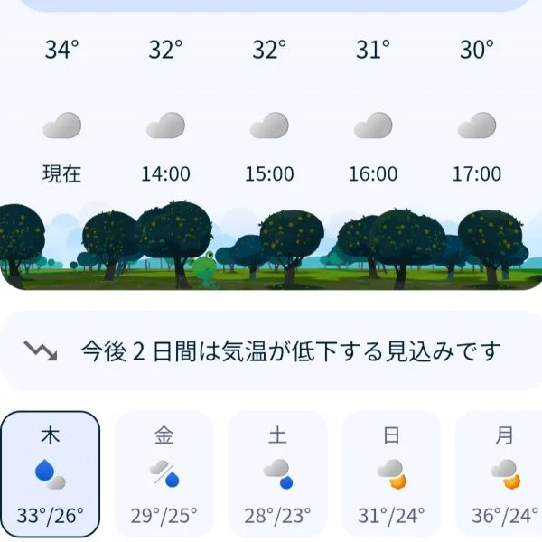 こんにちは🌞🌞🌞🌞🌞🌞🌞