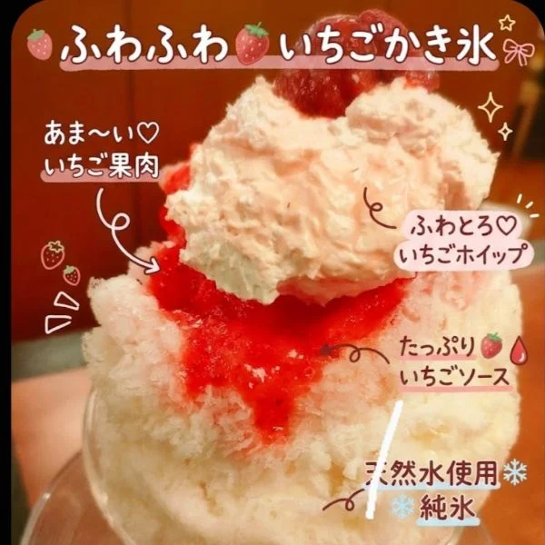 今年初！