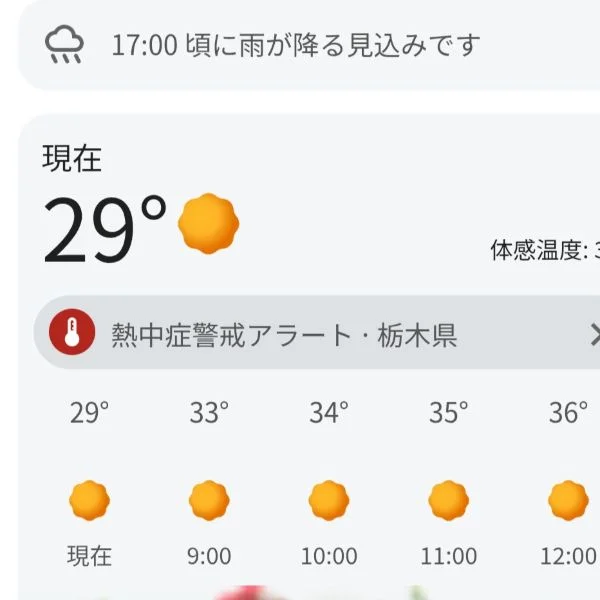 おはようございます😊☀️☀️☀️☀️