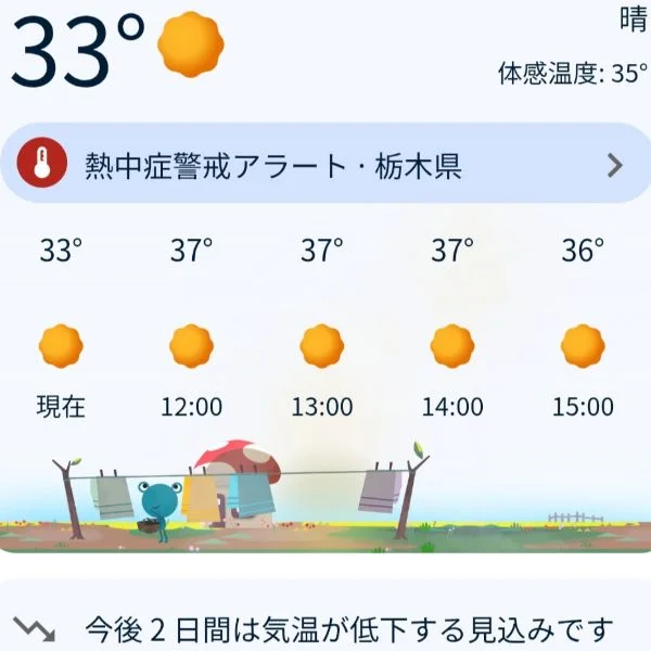 今日は暑すぎて滅🥵です