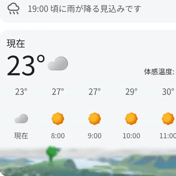 おはようございます☀️☀️☀️☀️☀️