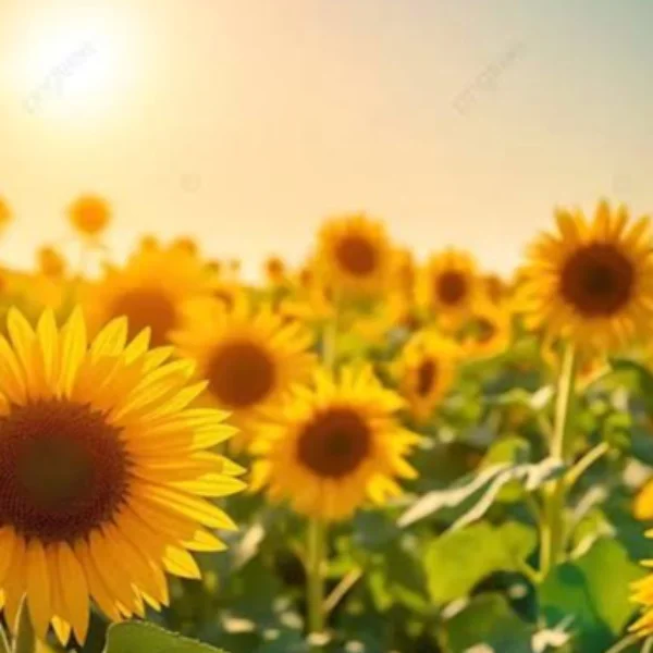 空きましたので、今ならすぐご予約可能です(´・ω・｀)