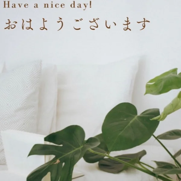 今日もご予約お待ちしてます(⑅•ᴗ•⑅)