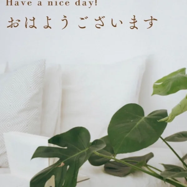 ご予約お待ちしております( ⸍ɞ̴̶̷ ·̫ ɞ̴̶̷⸌ )