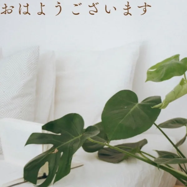 ご予約お待ちしております(◍•ᴗ•◍)