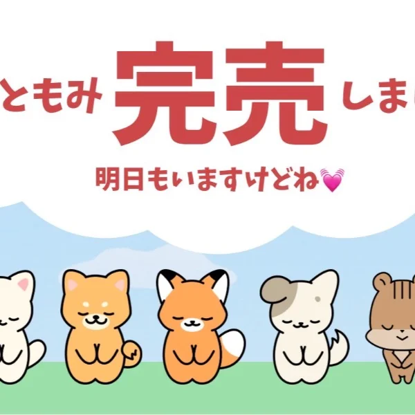 いつもご来店ありがとうございます(◍ ´꒳` ◍)