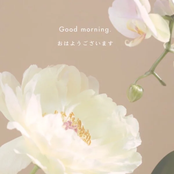 今日もご予約お待ちしております⸜( ˶'ᵕ'˶)⸝