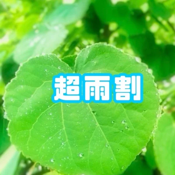 ☔️超雨🈹り☔️