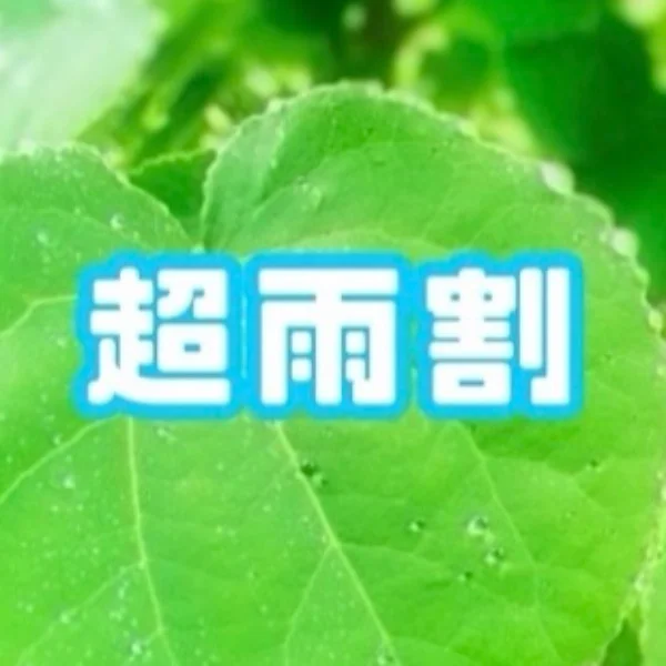 　　　☔️超雨🈹り☔️　