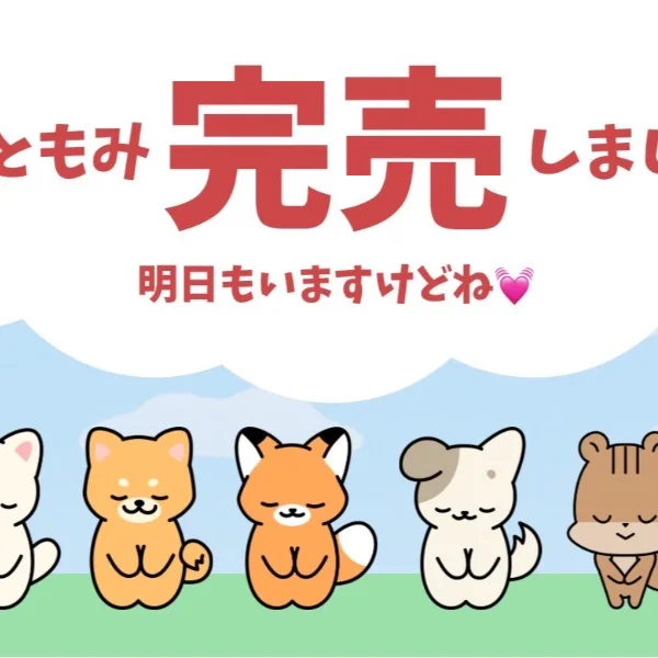 今日もありがとうございました(◍ ´꒳` ◍)