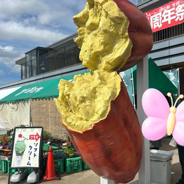 お出かけ🚗³₃