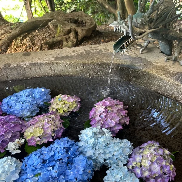 雨割☔️