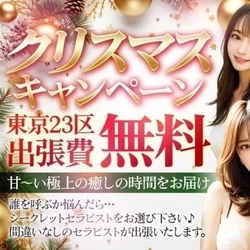 メリークリスマスイブ🎄【大人気】シーク...