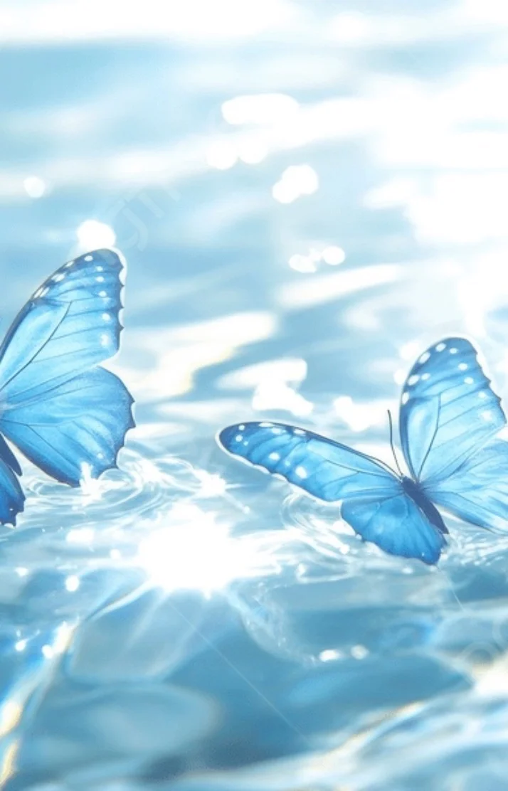 ありがとうございました🦋💕