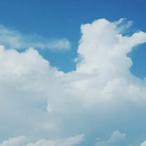 本日はもう出勤していますよー！