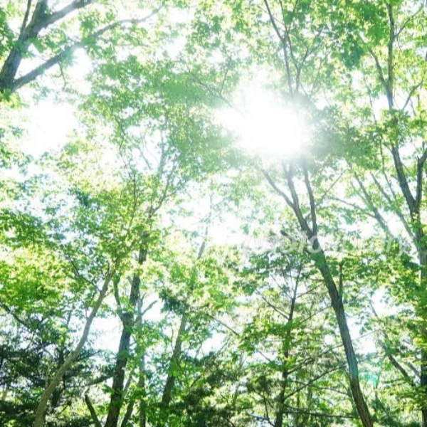 本日も15時から出勤です