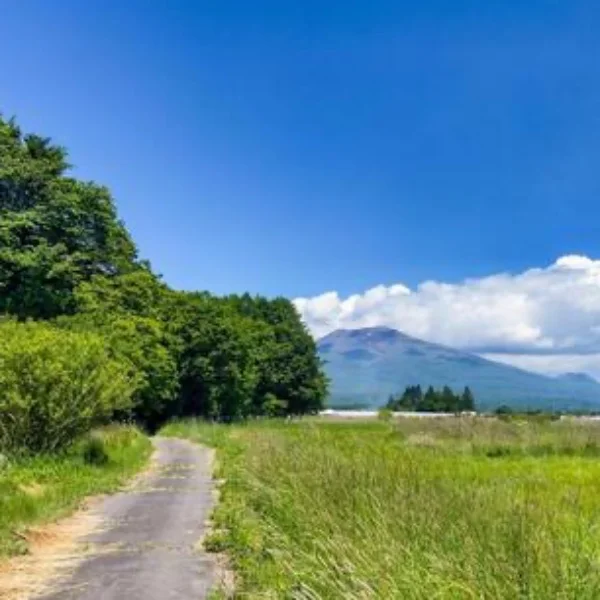 そういえば