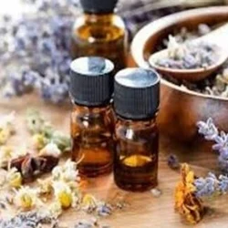 本日の出勤情報です